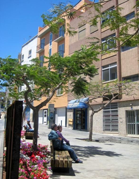 S/C De Tenerife, Apartamento 1 Dormitorio Santa Cruz de Tenerife Ngoại thất bức ảnh
